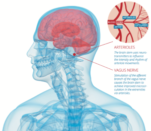 Stivax Neurostimulation